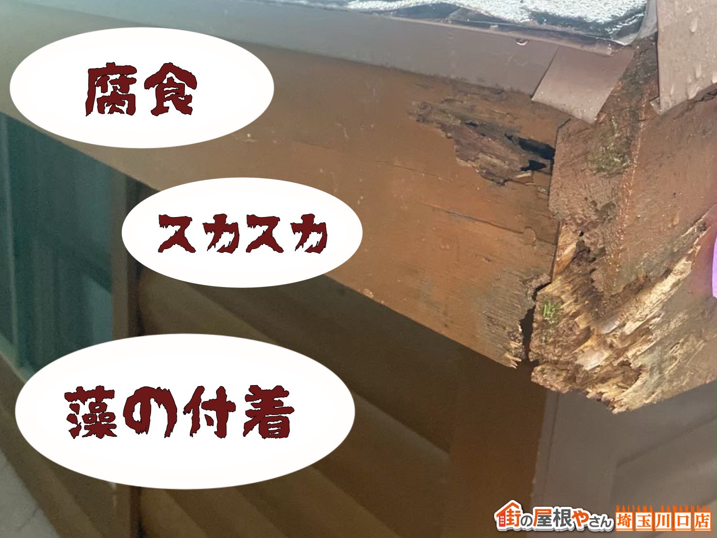 破風板　腐食・スカスカ・藻の付着